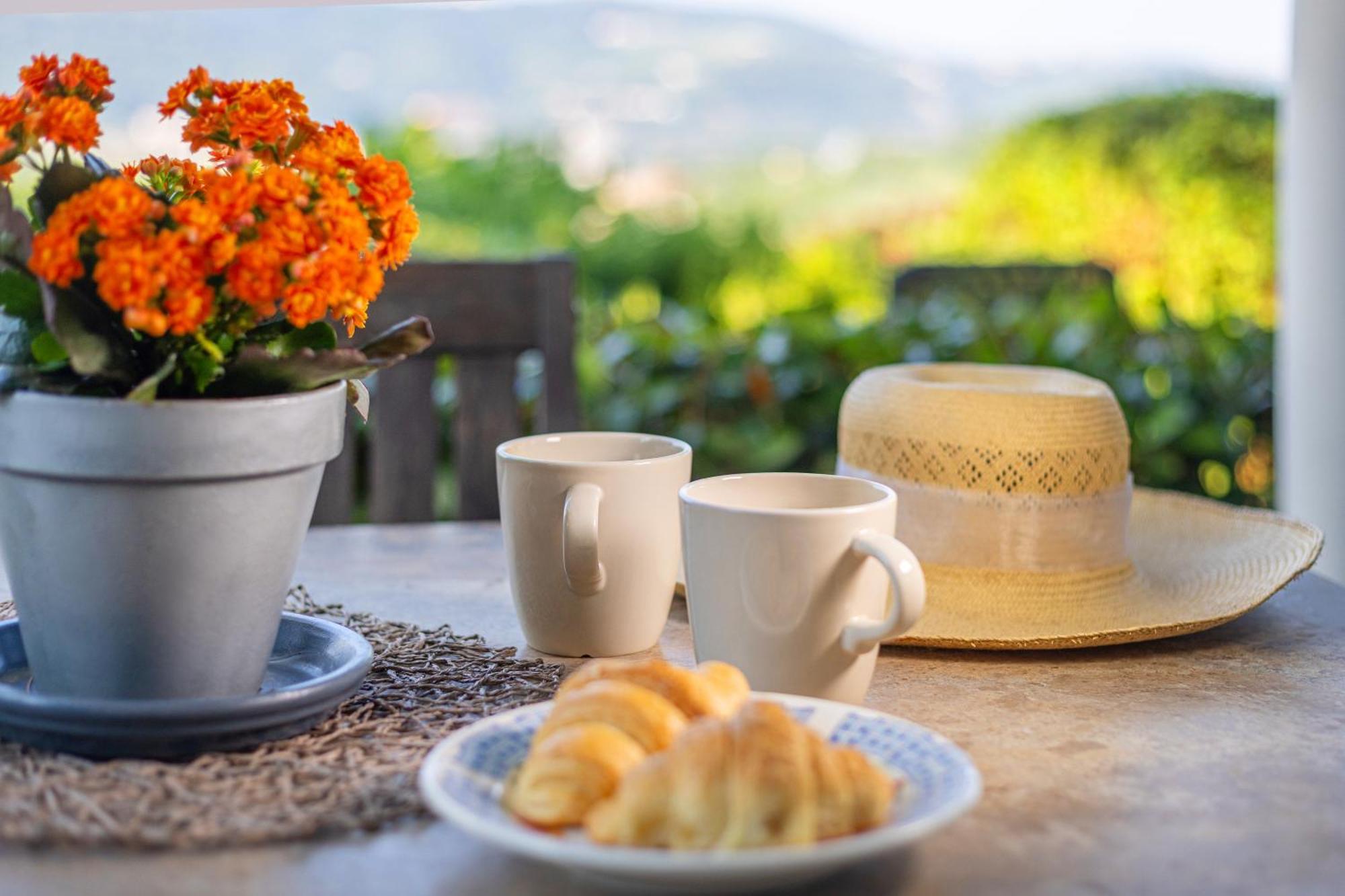 شقة House Olive Garden سترونجان المظهر الخارجي الصورة
